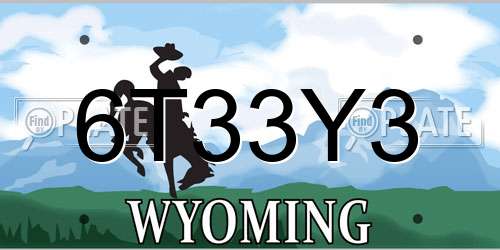 6T33Y3 Wyoming License Plate