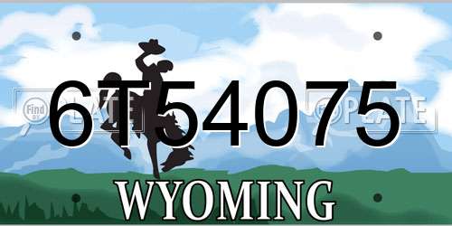 6T54075 Wyoming License Plate