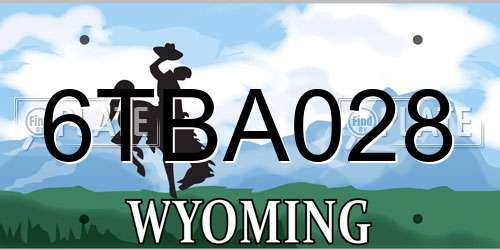 6TBA028 Wyoming License Plate