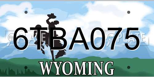 6TBA075 Wyoming License Plate