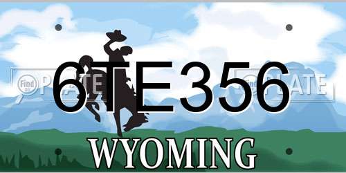 6TE356 Wyoming License Plate