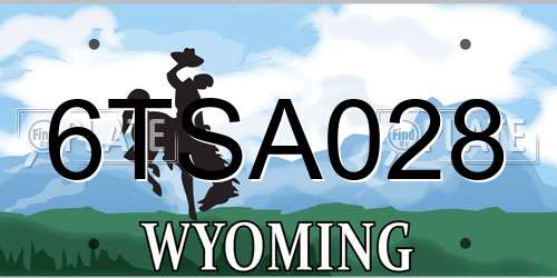 6TSA028 Wyoming License Plate