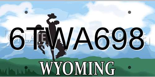 6TWA698 Wyoming License Plate