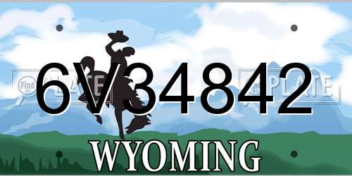 6V34842 Wyoming License Plate