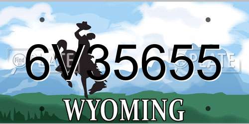 6V35655 Wyoming License Plate
