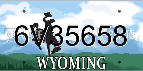 6V35658 Wyoming License Plate
