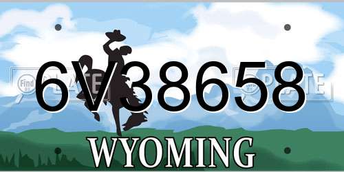 6V38658 Wyoming License Plate