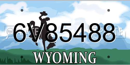6V85488 Wyoming License Plate
