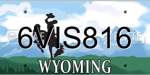 6VIS816 Wyoming License Plate