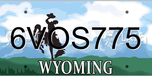 6VOS775 Wyoming License Plate