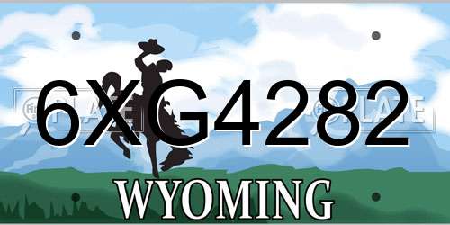 6XG4282 Wyoming License Plate