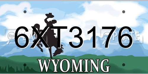 6XT3176 Wyoming License Plate