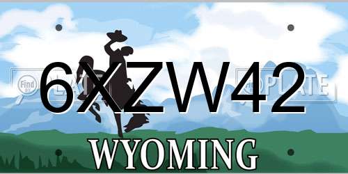 6XZW42 Wyoming License Plate