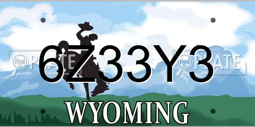 6Z33Y3 Wyoming License Plate