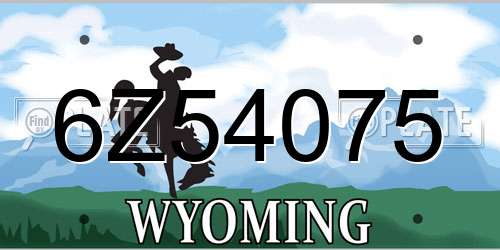 6Z54075 Wyoming License Plate
