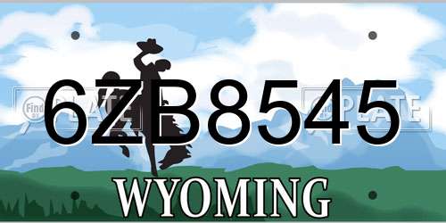 6ZB8545 Wyoming License Plate