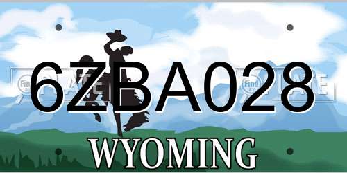 6ZBA028 Wyoming License Plate