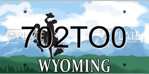702TO0 Wyoming License Plate