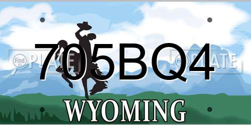 705BQ4 Wyoming License Plate