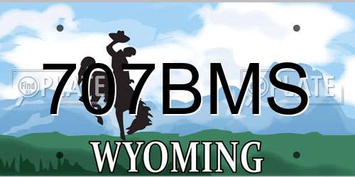 707BMS Wyoming License Plate