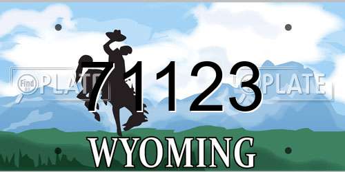 71123 Wyoming License Plate