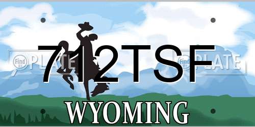 712TSF Wyoming License Plate