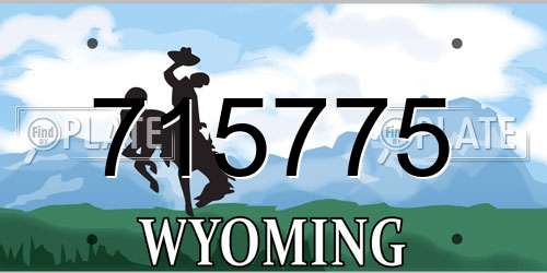 715775 Wyoming License Plate