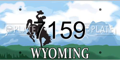 7159 Wyoming License Plate