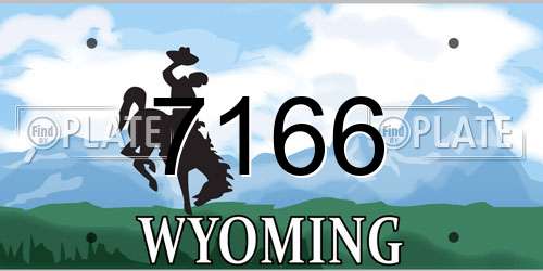 7166 Wyoming License Plate