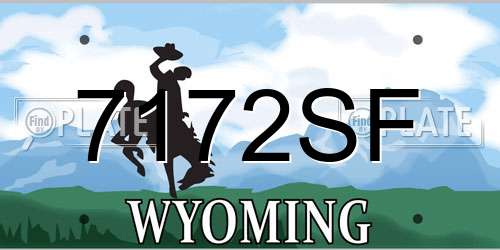 7172SF Wyoming License Plate