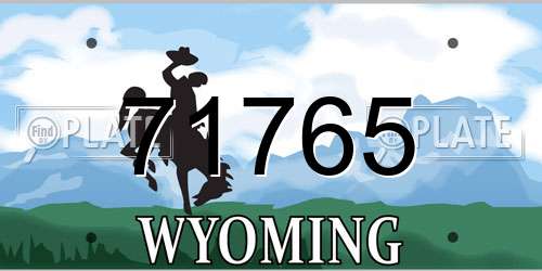 71765 Wyoming License Plate