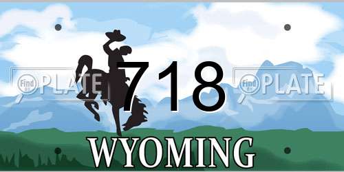718 Wyoming License Plate