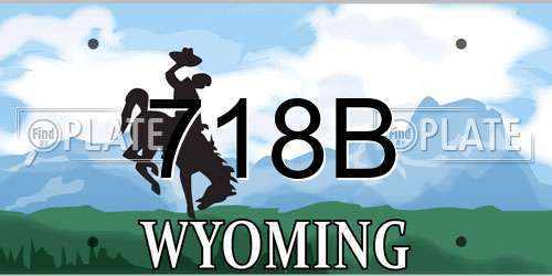 718B Wyoming License Plate