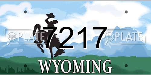 7217 Wyoming License Plate
