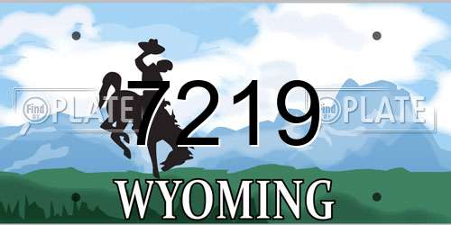 7219 Wyoming License Plate