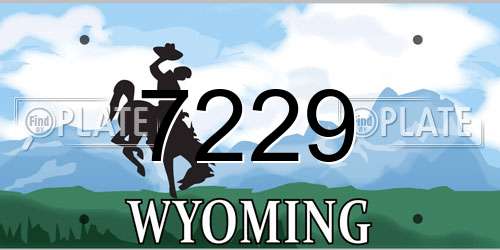 7229 Wyoming License Plate