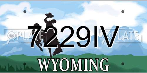 7229IV Wyoming License Plate