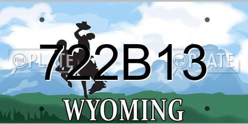 722B13 Wyoming License Plate