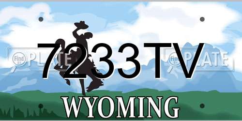 7233TV Wyoming License Plate