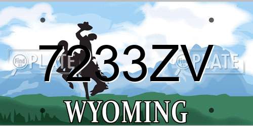 7233ZV Wyoming License Plate