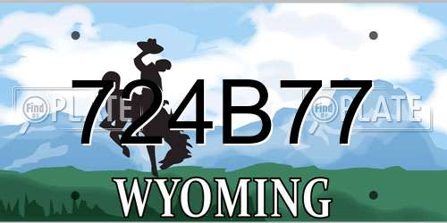 724B77 Wyoming License Plate