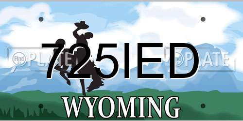 725IED Wyoming License Plate