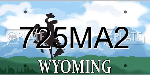 725MA2 Wyoming License Plate