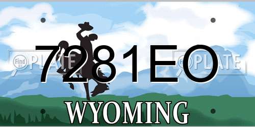 7281EO Wyoming License Plate