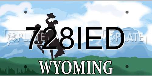 728IED Wyoming License Plate
