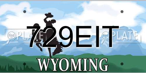 729EIT Wyoming License Plate