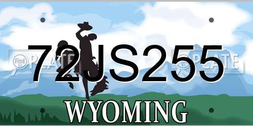 72JS255 Wyoming License Plate