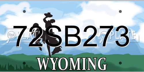 72SB273 Wyoming License Plate
