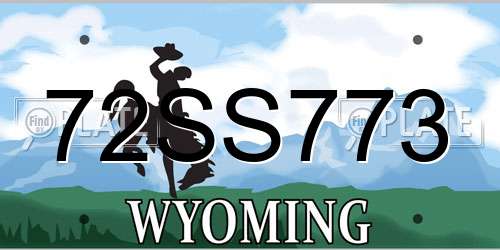 72SS773 Wyoming License Plate