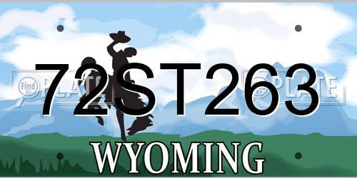 72ST263 Wyoming License Plate